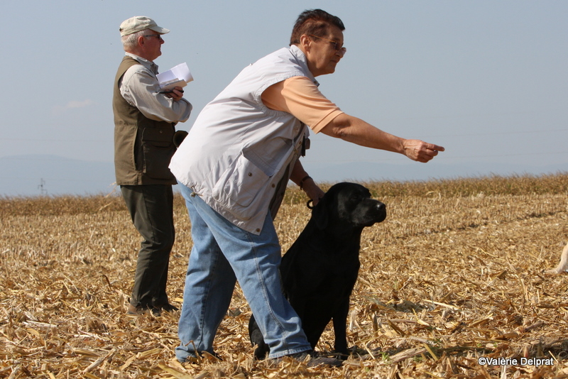 Field Erstein 09 (73).JPG